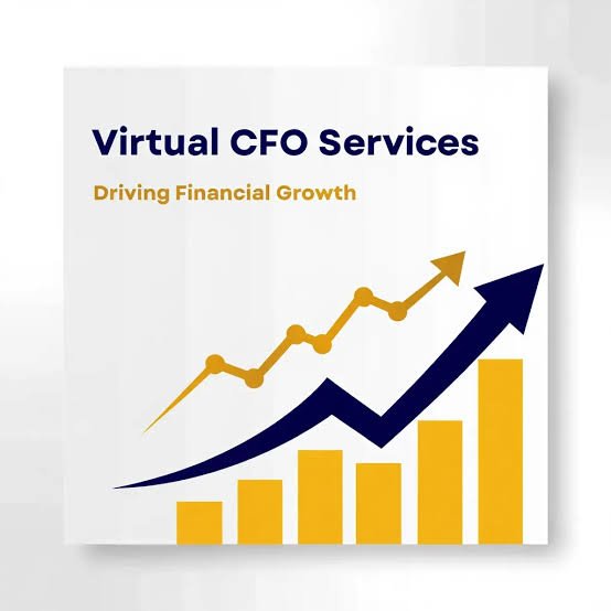 Virtual CFO Services